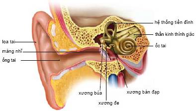 Cấy ốc tai điện tử