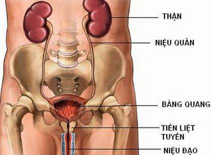 nhiễm trùng đường tiểu