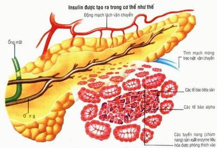 biến chứng của bệnh tiểu đường